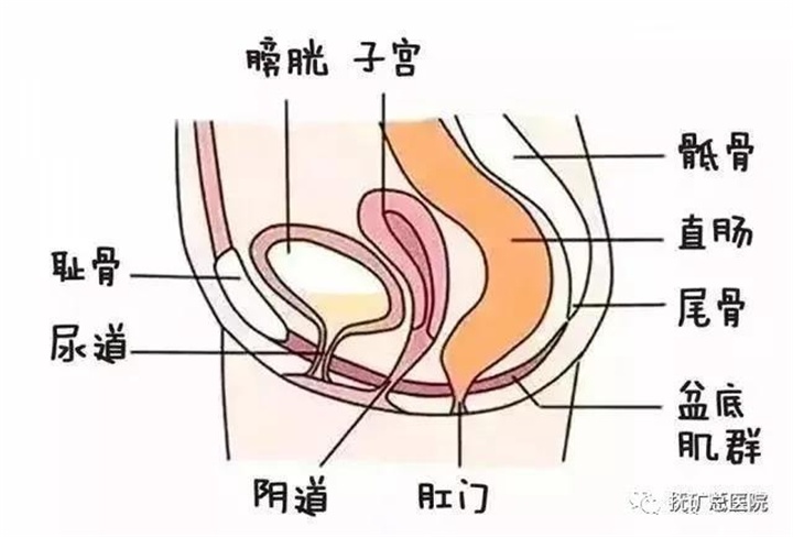 盆底肌松弛?漏尿?别担心!抚矿总医院妇科门诊盆底康复治疗为您解忧